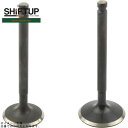 SHIFTUP シフトアップ 205588-VL-10 モンキー ハイレボリューションシリンダーヘッド専用 バルブセット(補修用)