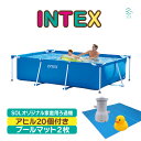 INTEX インテックス プール 3m プールマット 2枚 ろ過器 アヒル 20個 セット 300cm x 200cm x 75cm INTEX プール おうち...
