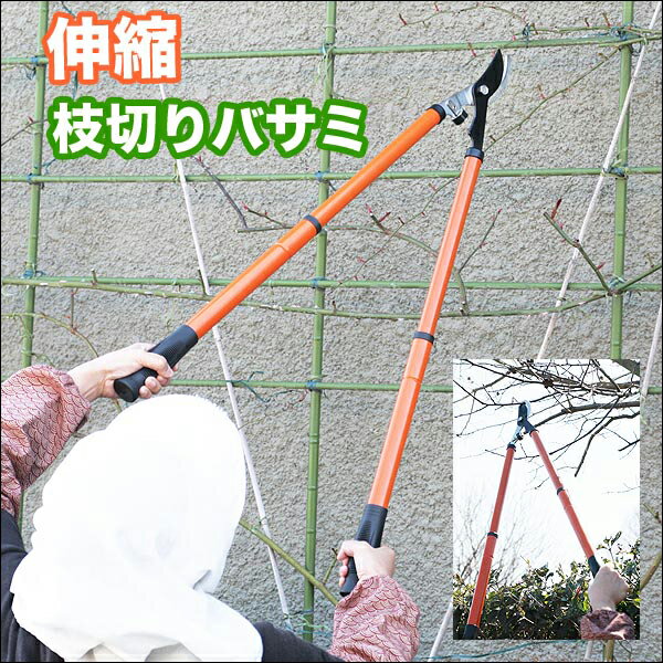 送料無料！ 2段階伸縮式 枝切りバサミ 高い枝らくらくカット！最長84.5cm 剪定・刈り込み 握りやすいラバーグリップ【 園芸用 剪定ばさみ 鋏 高枝切りバサミ はさみ ガーデニング 庭木 植木 】 送料込 ◇ 枝切りバサミC