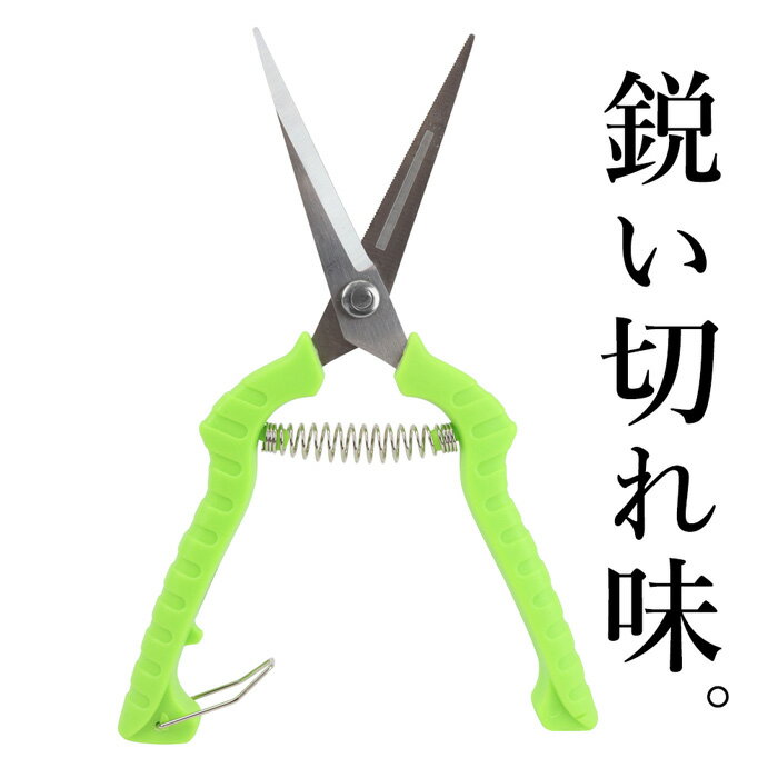 【割引アイテム】剪定バサミ 剪定ばさみ ストレート刃タイプ 6mm ギザ刃 ステンレス 切断 安全ストッパー付き バネ付き ついで買い特集【 園芸ばさみ 鋏 手動 手入れ 家庭菜園 ガーデニング 花 果物 野菜 収穫 軽量 】 /60N◇ 剪定らくチョキ