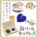 送料無料 ( メール便 ) 自分...