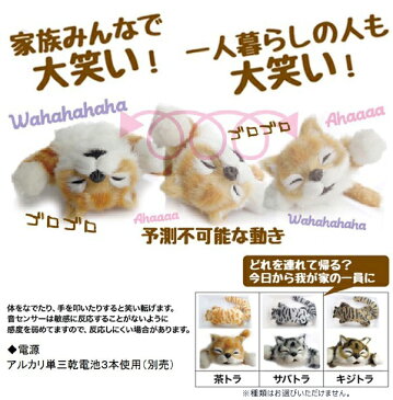 振動&音センサーで笑い転げる!大笑いゴロゴロにゃんこ 動く猫のおもちゃ 電池式 【 玩具 動くぬいぐるみ 動物 ペット 子猫 ねこ 電動 かわいい 笑う ユニーク 楽しい プレゼント 】 ◇ 爆笑ゴロにゃん