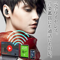 イヤホンDL-121