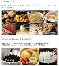 圧力鍋LITHON