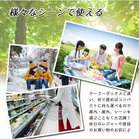 フレッシュ保冷バッグ