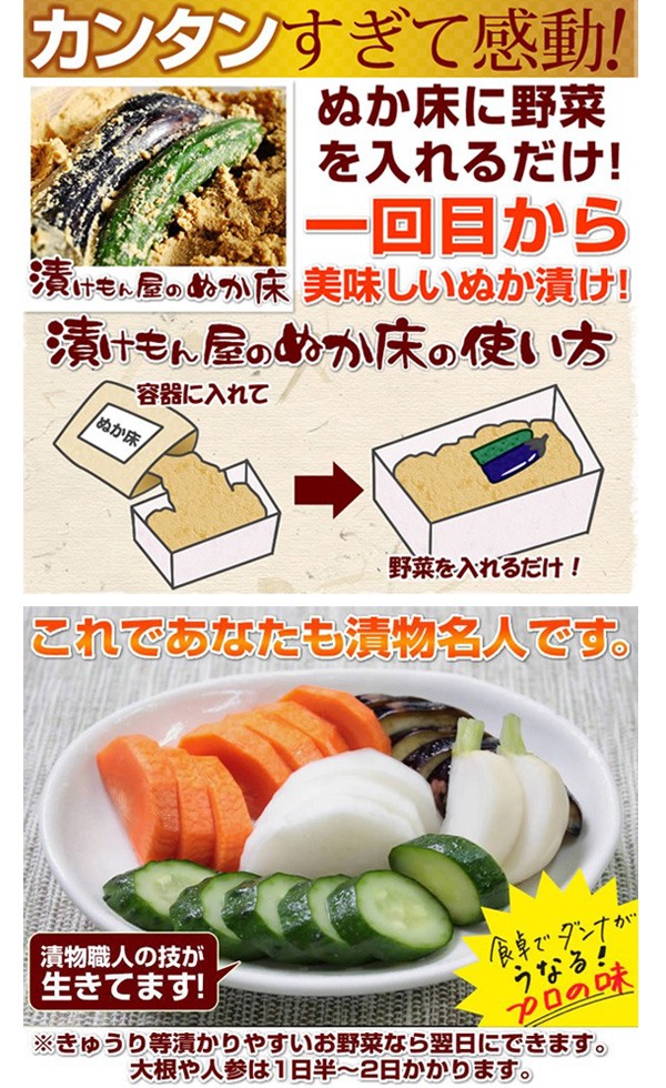 送料無料 ! 熟成ぬか床キット 簡単ぬか漬け 自家製 ぬか床 フルセット 1kg 100％国産原料 捨て漬け不要 容器付属【 糠漬け 漬物 手作り 発酵食品 キッチン 美容 健康 食品 初心者 コンパクト 】 送料込 ◇ ぬか床セット