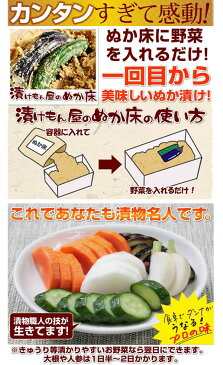 熟成ぬか床キット 簡単ぬか漬け 自家製 ぬか床 フルセット 1kg 100%国産原料 捨て漬け不要 容器付属【 糠漬け 漬物 手作り 発酵食品 キッチン 美容 健康 食品 初心者 コンパクト 一人暮らし 新生活 】 ◇ ぬか床セット