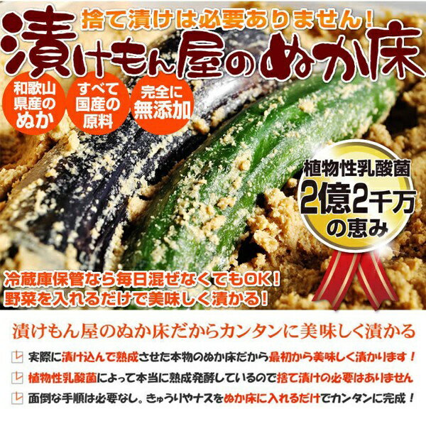 送料無料 ! 熟成ぬか床キット 簡単ぬか漬け 自家製 ぬか床 フルセット 1kg 100％国産原料 捨て漬け不要 容器付属【 糠漬け 漬物 手作り 発酵食品 キッチン 美容 健康 食品 初心者 コンパクト 】 送料込 ◇ ぬか床セット