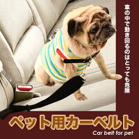 ペットのシートベルト