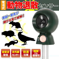 動物退散センサー