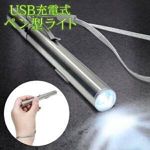 【本日5％OFF!】送料無料 !( 規格内 ) USB充電式 ペンライト 明るさ抜群 クリップ＆ストラップ付き【 LEDライト 懐中電灯 ハンディライト ポケット スリム ペンタイプ 小型 コンパクト 夜道 シンプル 】 送料込 ◇ ペン型ライト充電式