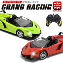 【本日P5倍+楽天カード4倍!】送料無料 ! RC スポーツカー 前進・後進・左右旋回 フルファンク ...