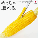 【本日P5倍+楽天カード4倍!】送料無料 !(メール便) コーンピーラー EAトCO イイトコ Poro 日本製 ヨシカワ AS0051 ステンレス製【 とうも...