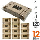 【本日ポイント5倍!】ペーパータオル【120枚入り×12個セット】再生紙100% ナチュラルカラー 225×210mm【 使い捨て 紙タオル 中判 小判 手拭き...