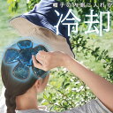 【2点で3%OFF+P3倍】ひんやり 帽子用クールパッド 冷感パッド 頭用 保冷剤 ヘルメット用 ついで買い特集 夏物特集【 冷感グッズ 冷凍庫 冷蔵庫 クール 冷たい 通勤 通学 アウトドア 暑さ対策グッズ 大人 子供 まとめ買い 】 /60N◇ ひんやり帽子