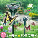 【本日ポイント5倍!】ソーラー電源で飛ぶ蝶々 ソーラーガーデン ちょうちょ 動くオーナメント 太陽光電源/乾電池式 ついで買い特集【 庭造り デコ 花壇 ガーデ...