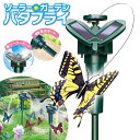 【本日ポイント5倍!】送料無料 !(定形外) ソーラー電源で飛ぶ蝶々 ソーラーガーデン ちょうちょ 動くオーナメント 太陽光電源/乾電池式【 庭造り デコ 花壇...