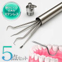 【本日ポイント10倍!】ポータブル歯間ケア 5点セット 携帯用 ステンレス製 キーホルダー【 ピック つまようじ 爪楊枝 フック型 食後ケア 身だしなみ ミニ ...