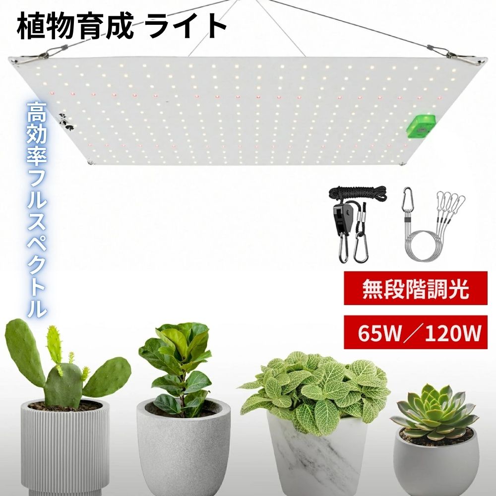 商品キャッチ ＼高効率フルスペクトル搭載！室内でも太陽光級の植物育成LEDライト／ 商品仕様 ◆セット内容：植物育成ライト本体×1、電源ケーブル×1、吊り下げキット×1、日本語取扱説明書 ◆素材：アルミ合金、ABS、LED（Samsung LM281Bチップ） ◆カラー：ブラック ◆サイズ：65W 約285×285mm／120W 約450×285mm ◆重量：約1.2〜2.5kg（モデルにより異なる） ◆消費電力：65W／120W ◆LED構成：白色光・暖色光・660nm赤色光・395nm UV・730nm IR ◆スペクトル：フルスペクトル設計（太陽光再現タイプ） ◆調光機能：無段階調光（25%〜100%） ◆機能：赤色光ON/OFF切替、育成モード調整、吊り下げ設置式 ◆用途：室内栽培、水耕栽培、観葉植物、多肉植物、塊根植物、ハーブ、家庭菜園、育苗 商品説明 【Samsung LM281B高効率LED採用】 高品質Samsung LM281Bチップを搭載し、省エネと高輝度を両立。安定した光量で植物の光合成を効率よくサポートし、長寿命でコストパフォーマンスにも優れています。 【太陽光再現フルスペクトル】 白色光・暖色光・赤色光・UV・IRをバランス良く配合し、自然光に近い環境を再現。発芽から開花・結実まで、植物の成長サイクル全体をサポートします。 【高PPFDで効率的な育成】 高PPFD設計により、観葉植物から多肉植物・塊根植物・家庭菜園まで幅広く対応。ムラの少ない均一照射で、安定した育成環境を実現します。 【無段階調光＆赤色光制御】 25%〜100%の無段階調光に対応し、成長段階に合わせた光量調整が可能。さらに赤色光のON/OFF切替で、開花・結実期など目的別に最適な光環境を作れます。 【室内栽培に最適な設計】 吊り下げ式で設置も簡単。家庭菜園や水耕栽培、インテリアグリーンなど室内環境でも本格的な植物育成を可能にします。 関連キーワード 植物育成ライト LED 植物ライト フルスペクトル 室内栽培ライト 水耕栽培 LED育成ライト 65W 120W Samsung LM281B 植物用ライト グロウライト grow light 植物育成ランプ UV IR 660nm 730nm 多肉植物 塊根植物 観葉植物 ハーブ 家庭菜園 育苗 発芽 栽培ライト 園芸ライト 室内ガーデニング インドアグリーン テラリウム 温室ライト プラントライト 無段階調光 LED栽培ライト 省エネ 高PPFD 送料無料 ギフト プレゼント 新生活 母の日 父の日 クリスマス 正月 春 夏 秋 冬 園芸用品 セール 安心保証 商品到着後の初期不良につきましては、返金または交換にて対応いたします。 万が一不具合がございましたら、お気軽にご連絡ください。迅速かつ丁寧に対応いたします。 注意事項 ※使用環境により発光効果は異なる場合があります。 ※モニター環境により実際の色味と異なる場合があります。 ※仕様は改良のため予告なく変更される場合があります。 ※長時間直視しないでください。 ※設置時は落下防止のためしっかり固定してください。