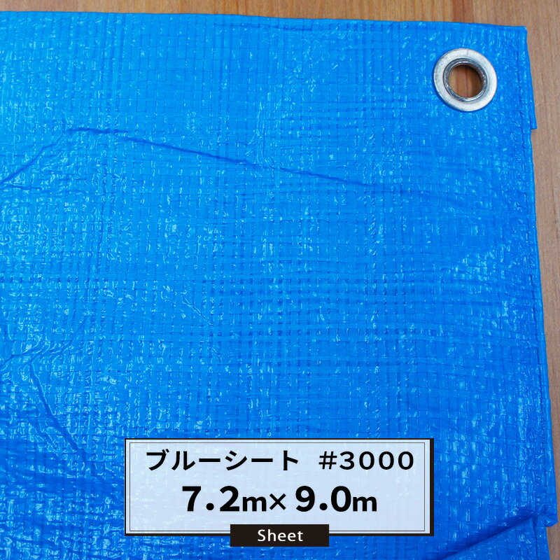 ֥롼 7.29.0m #3000  褱 ʤ Լ褱  ݲѥ ѥåȥС ư ָ  쥸㡼  ...