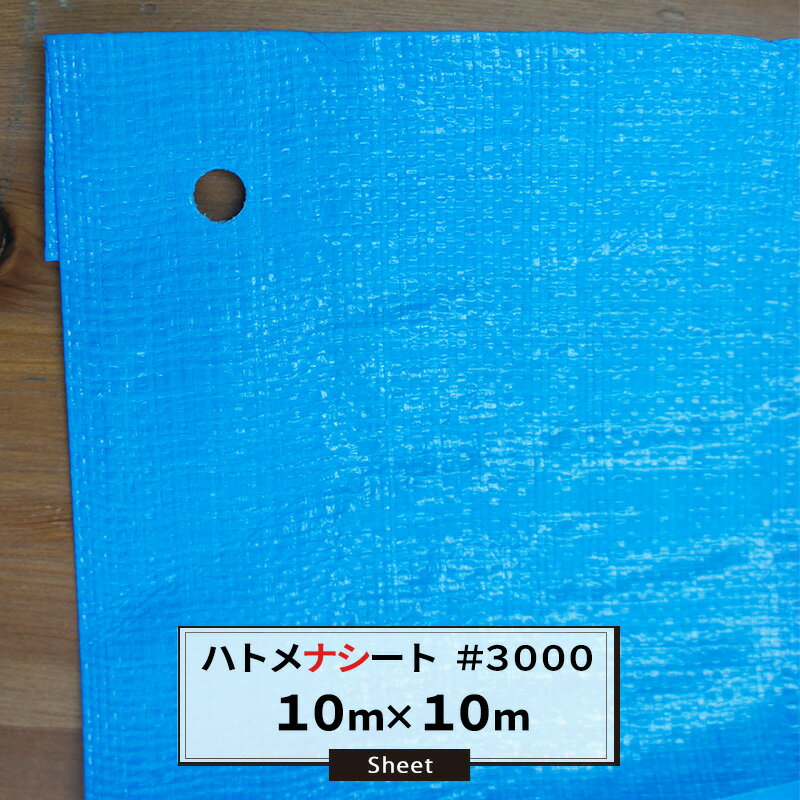 [ݥ10ܡ420 ݥ⤢] ֥롼 ϥȥʥ ϥȥʤ #3000 1010m ݥꥨ  褱 ʤ...