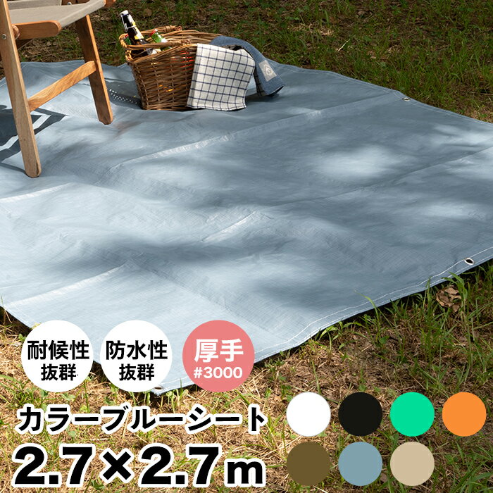 [1000円OFFクーポンあり] ブルーシート カラー 2.7×2.7m 厚手 #3000 カラーブルーシート レジャーシート おしゃれ ござ お花見 海水浴 バーベキュー 運動会 防災用品 災害 雨よけ 養生シートホワイト ブラック グリーン オレンジ プールの下に敷く FT JQ