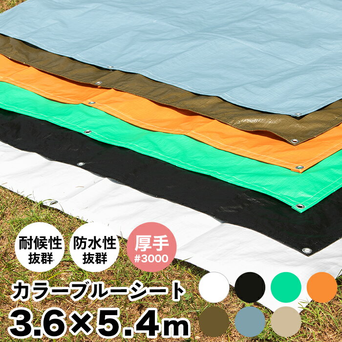 ブルーシート カラー 3.6×5.4m 厚手 #3000 カラーブルーシート レジャーシート おしゃれ ござ お花見 海水浴 バーベキュー 運動会 防災用品 災害 雨よけ 養生シートホワイト ブラック グリーン オレンジ プールの下に敷く FT JQのサムネイル