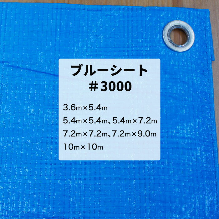 ブルーシート #3000 3.6m×5.4m 5.4m×5.4m 5.4m×7.2m 7.2m×7.2m 7.2m×9.0m 10m×10m 厚手 雨よけ 日覆...
