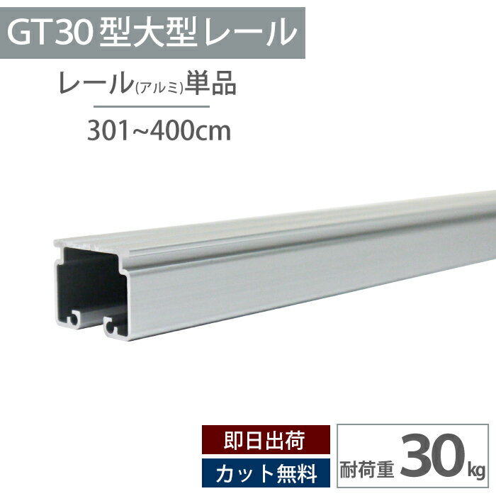 Single - [15日限定10%OFFクーポンあり] アルミ レール 4m 耐荷重30kg 大型レール 中量用カーテンレール 工場 店舗 施設 ビニールカーテン ネット ビニールをつるす GT30型 【TT12L40-AS】 H-N-0