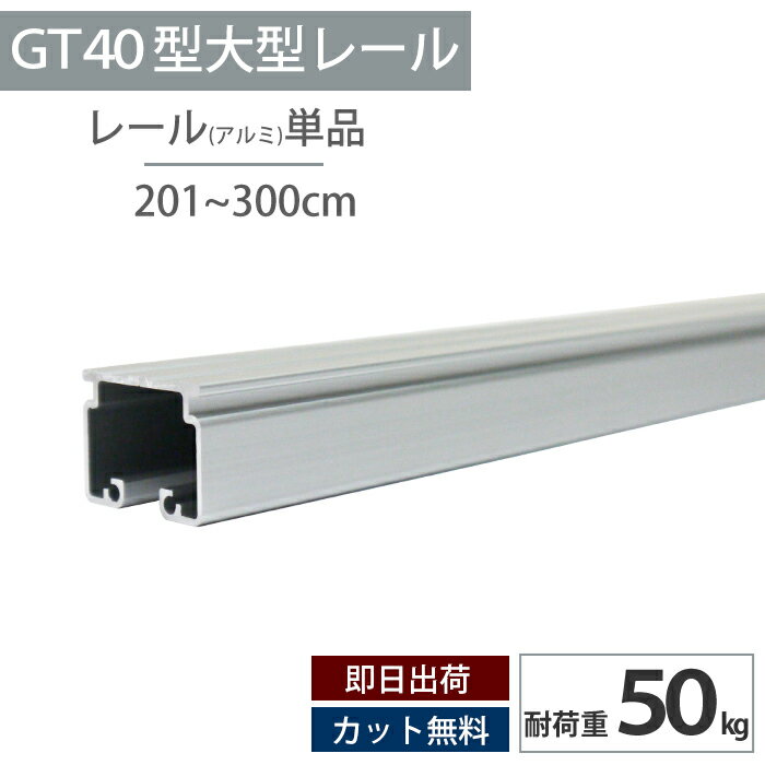 乐天商城 - [マラソン限定クーポンあり] アルミ レール 3m 耐荷重50kg 大型レール 重量用カーテンレール 工場 店舗 施設 重いカーテン ビニールカーテン ネット ビニールをつるす GT40型 【TT15L10-AS】 H-N-0
