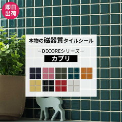 https://thumbnail.image.rakuten.co.jp/@0_mall/s-pro/cabinet/decore/capri10-kgn.jpg