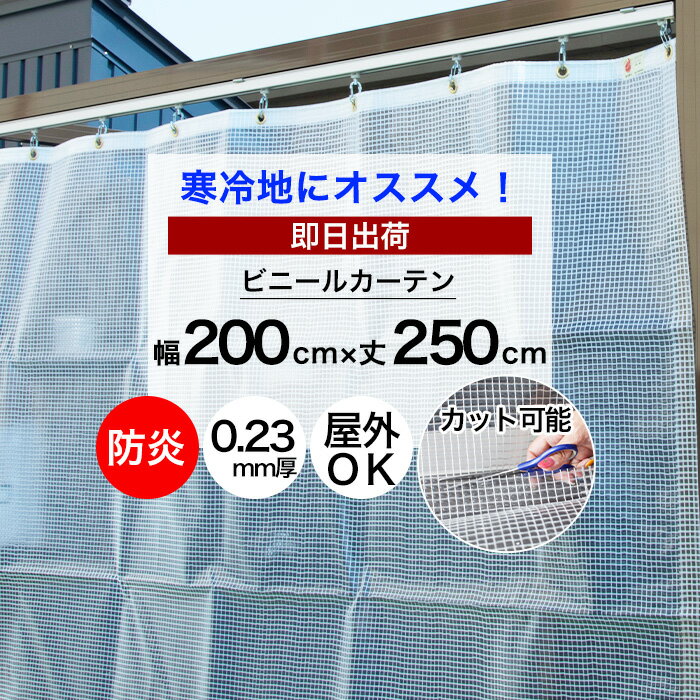 ポイント5倍×20日限定 ビニールカーテン 切って使える 既製サイズ 幅200cm 丈250cm 0.23mm厚 防炎 防寒 難燃性ビニールカーテン 丈が調節 ビニールシート ベランダ 工場 店舗 間仕切り 節電 省エネ 防塵 防虫 冷暖房効率アップ【FT09】