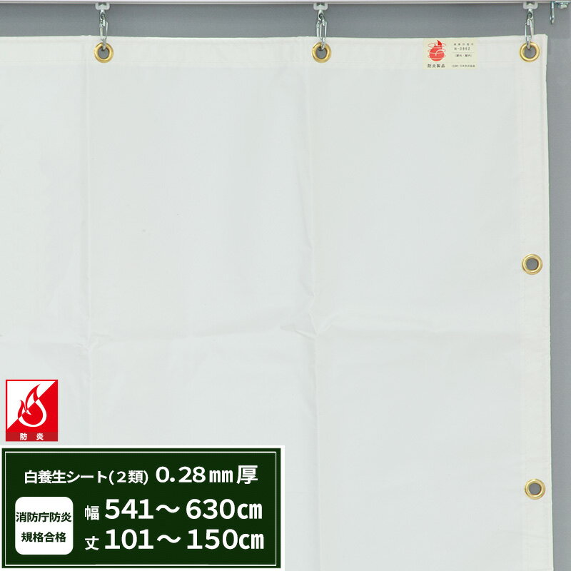 樂天商城 - 養生シート エステル防炎2類 建築白養生シート 0.28mmt 幅540〜630cm 丈101〜150cm 耐候性 防水性 雨よけ 日覆い 野積みシート テント カバー サイズオーダー 【FT12】 JQ