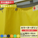 ビニールカーテン カラー ターポリン生地 防炎 0.35mm厚 幅50~90cm 丈151~200cm 黒 黄 緑 青 オレンジ グレー 養生シート カバー 間仕切り カラフル カーテン サイズオーダー 【FT17】 彩 さい JQ
