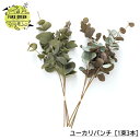 ミニ観葉植物 フェイクグリーン 人工観葉植物 ミニ ユーカリバンチ [1束3本] インテリア おしゃれ フェイク グリーン 造花 インドアグリーン CSZ