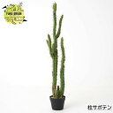 フェイクグリーン 柱サボテン 118cm サボテン インテリア おしゃれ 人工観葉植物 フェイク グリーン 造花 インドアグリーン CSZ