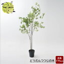 フェイクグリーン 大型 どうだんつつじ 木 175cm 観葉植物 インテリア おしゃれ フェイク グリーン 人工観葉植物 造花 インドアグリーン JQ