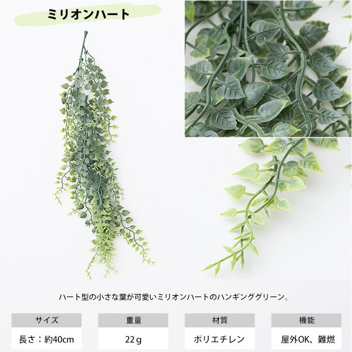 �ե��������꡼�� �ϥ󥮥� ��첼���� Ĺ�� ���ѥե��������꡼�� �ɲ���ñ�ʥϥ󥮥󥰥��꡼�� C-F-3