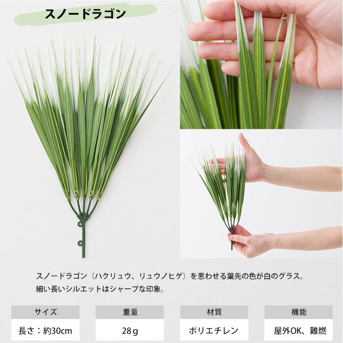 ���ѥե��������꡼�� 1�� ���꡼�󥦥����� �ɲ���ñ�� C-F-3