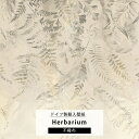 壁紙 クロス 葉柄 リーフ ボタニカル おしゃれ 不織布 輸入壁紙 ベージュ 絵羽柄 ミューラル壁紙 デザイン壁紙 Komar 【LJX4-024】 Herbarium ハーバリウム CSZ