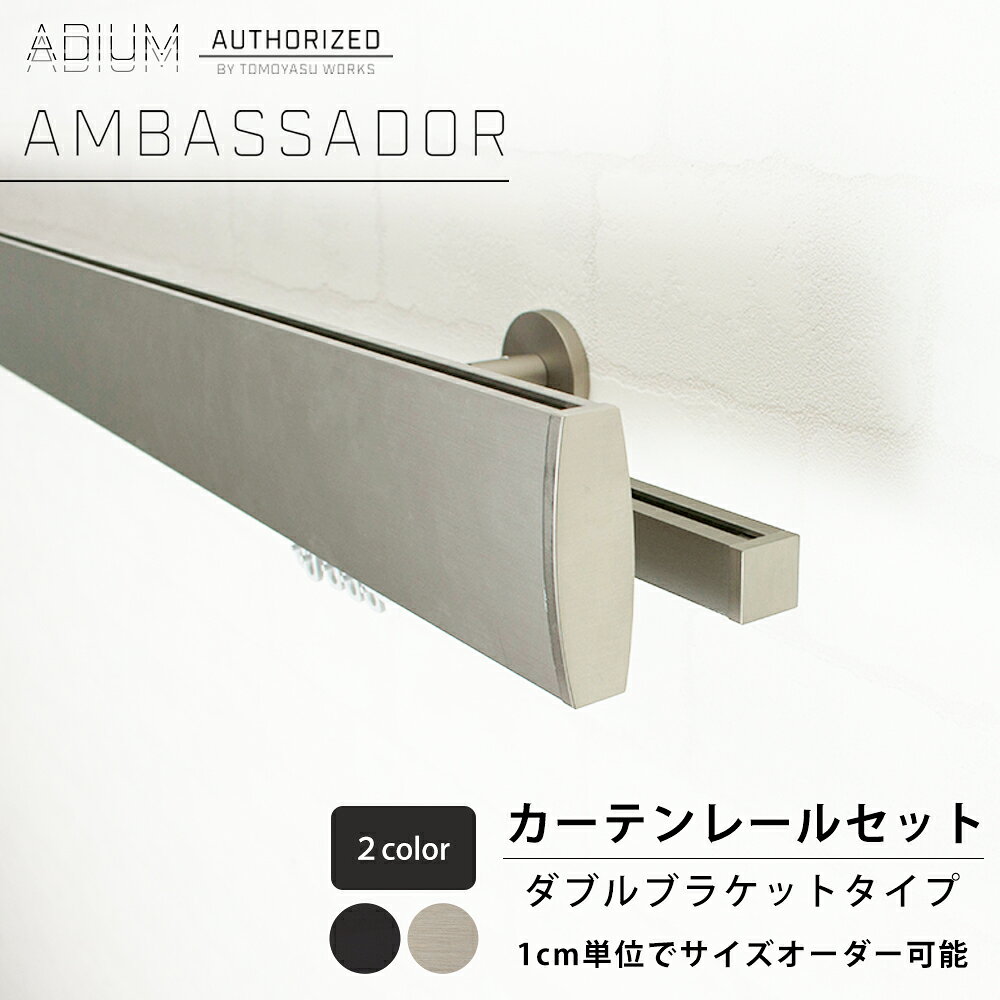 Iron - カーテンレール ダブル セット 0.5〜6m 高級感 シンプル おしゃれ かっこいい カーテン レール ADIUM アディウム AMBASSADOR アンバサダー H-N-0