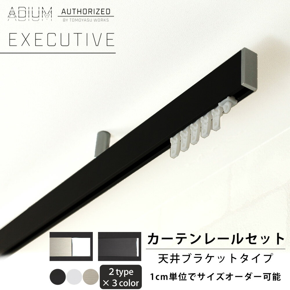 [15日限定10%OFFクーポンあり]カーテンレール 天井付 セット 0.5～6m 高級感 シンプル おしゃれ かっこいい カーテン レール ADIUM アディウム EXECUTIVE エグゼクティブ H-N-0