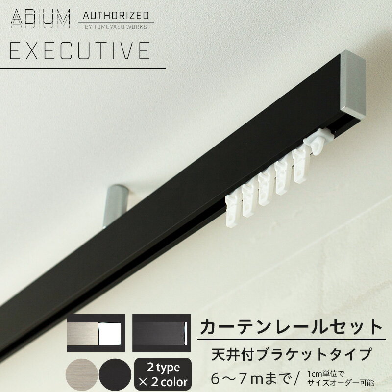 [10%OFFN[|~61] J[e[ Vt Zbg 6.01`7m  Vv   J[e [ ADIUM AfBE EXECUTIVE GO[NeBu