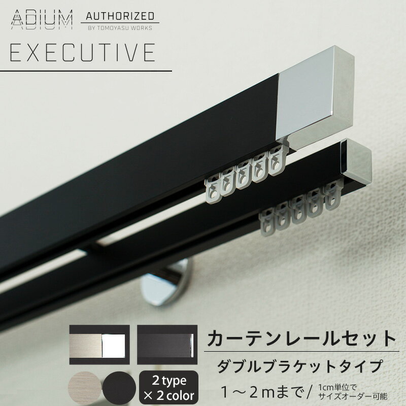 カーテンレール ダブル セット 1.01～2m 高級感 シンプル おしゃれ かっこいい カーテン レール ADIUM アディウム EXECUTIVE エグゼクティブ