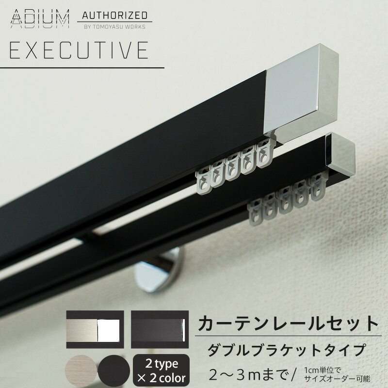  カーテンレール ダブル セット 2.01～3m 高級感 シンプル おしゃれ かっこいい カーテン レール ADIUM アディウム EXECUTIVE エグゼクティブ