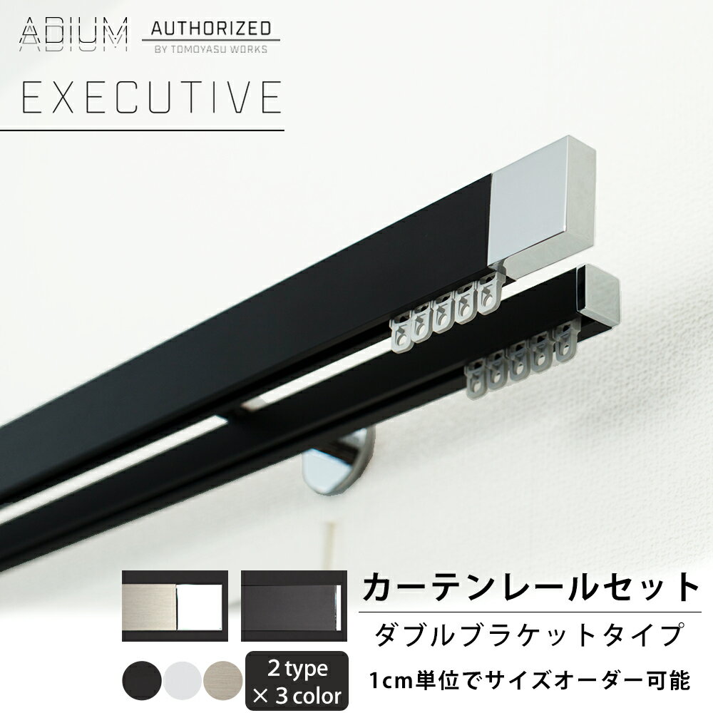 [15日限定10%OFFクーポンあり]カーテンレール ダブル セット 0.5～6m 高級感 シンプル おしゃれ かっこいい カーテン レール ADIUM アディウム EXECUTIVE エグゼクティブ H-N-0