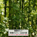 [10%OFFクーポン×本日限定] 農業用ネット 防風ネット 12mm目 サイズオーダー ～200cm×～800cm ワイドラッセル ネット 網 畑 農業 園芸 家庭菜園 アグリネット agri 防風 吹き込み対策 防雹 防霜 保温 風よけ 簡易フェンス 日本製 JQ