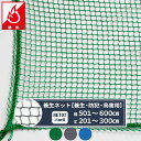 10 OFFクーポン×本日限定 ネット 網 養生ネット 幅501～600cm 丈201～300cm 2000T〈1800d〉/5本 15mm目 【NET07】 防炎建築養生 養生 剥離防止 防犯 鳥害 ハト除け カラス除け ブルー グリーン グレー JQ