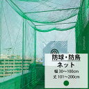 [10%OFFクーポン×本日限定] ネット 網 ゴルフネット 幅30～100cm 丈101～200cm [440T/36本 25mm目] 【NET15】 野球 防球 ゴルフ 練習ネット 野球ネット グランドネット 鳥害 防鳥 鳥よけ カラスよけネット 防犯ネット JQ