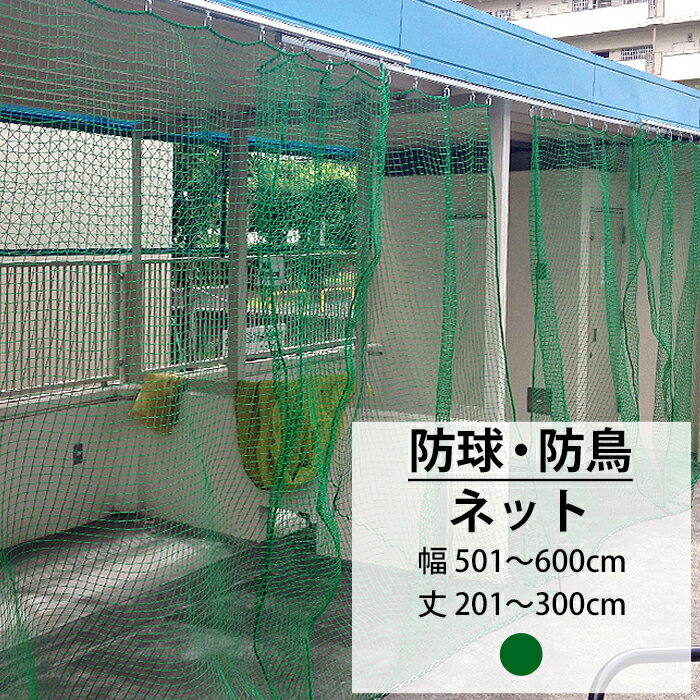 [1日限定10％OFFクーポンあり] ネット 網 防鳥ネット 25mm目 幅501〜600cm 丈201〜300cm [440T(400d)/36本] 【NET15】野球 防球 ゴルフ 練習ネット ゴルフネット 野球ネット グランドネット 鳥害 防鳥 鳥よけ カラスよけネット 防犯ネット JQ その1